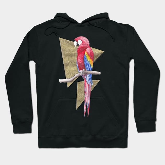 Scarlet Macaw Hoodie by kc-art